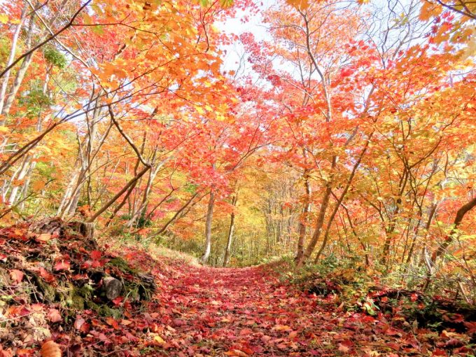 秋の佐渡島でおすすめの観光スポットを厳選