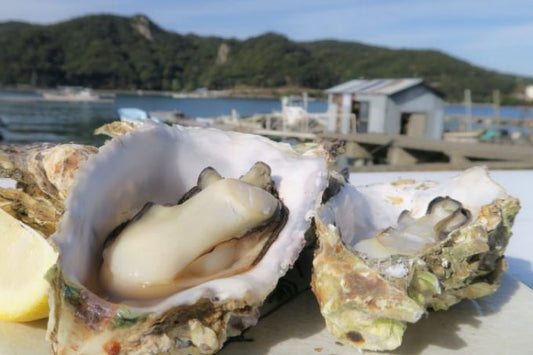 夏だって牡蠣が食べたい！ 鳥羽市が断然オススメ＋αで観光も楽しもう