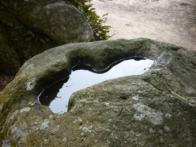 鶯の手水鉢