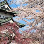 日本屈指の桜の名所・弘前城の見所を厳選