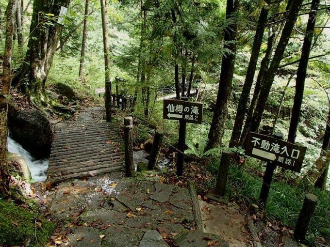 岐阜県のプール
