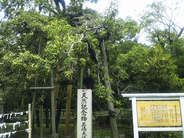 三嶋大社