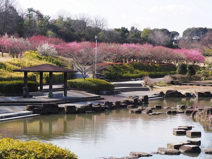 大高緑地公園